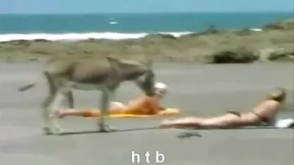 克洛伊自然成熟的男人 德西热性