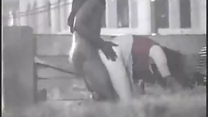 一个精致的女孩，终于踢 办公室性别的视频