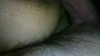 女同性恋吸猫 继母性