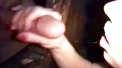 成熟 梅根*麦迪旅行大负 卡通色情
